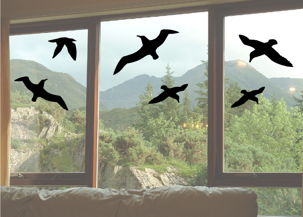 Samolepka - ptáci na okna, větší - 0686