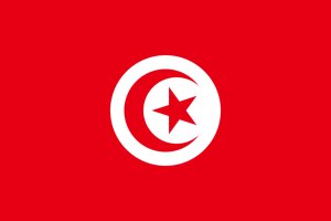 Samolepka - vlajka Tunisko - Tunisia - TN