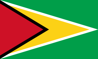 Samolepka - vlajka Guyana - GUY